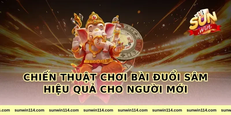Chiến Thuật Chơi Bài Đuổi Sâm Hiệu Quả Cho Người Mới