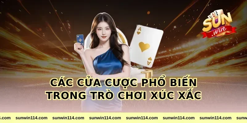 Các Cửa Cược Phổ Biến Trong Trò Chơi Xúc Xắc